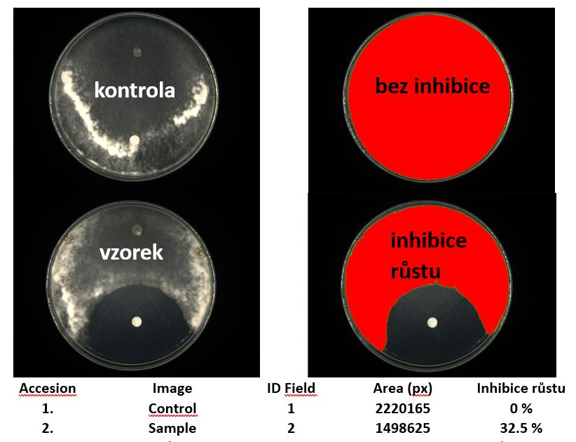 Možnosti využití obrazové analýzy v biotechnologiích