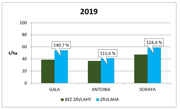 Využití kapkové závlahy při pěstování brambor na Vysočině