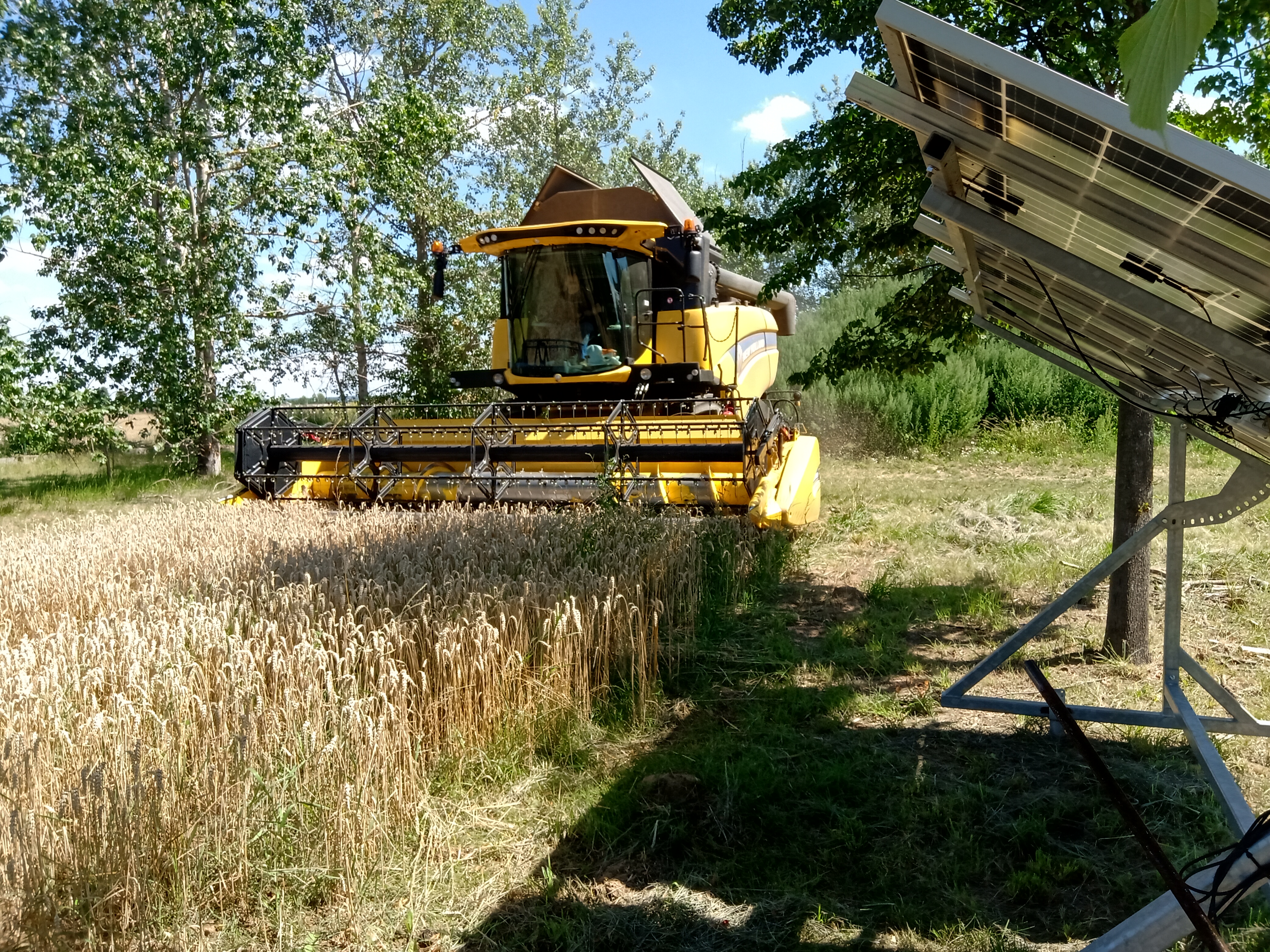 Agrolesnické systémy a agrovoltaika