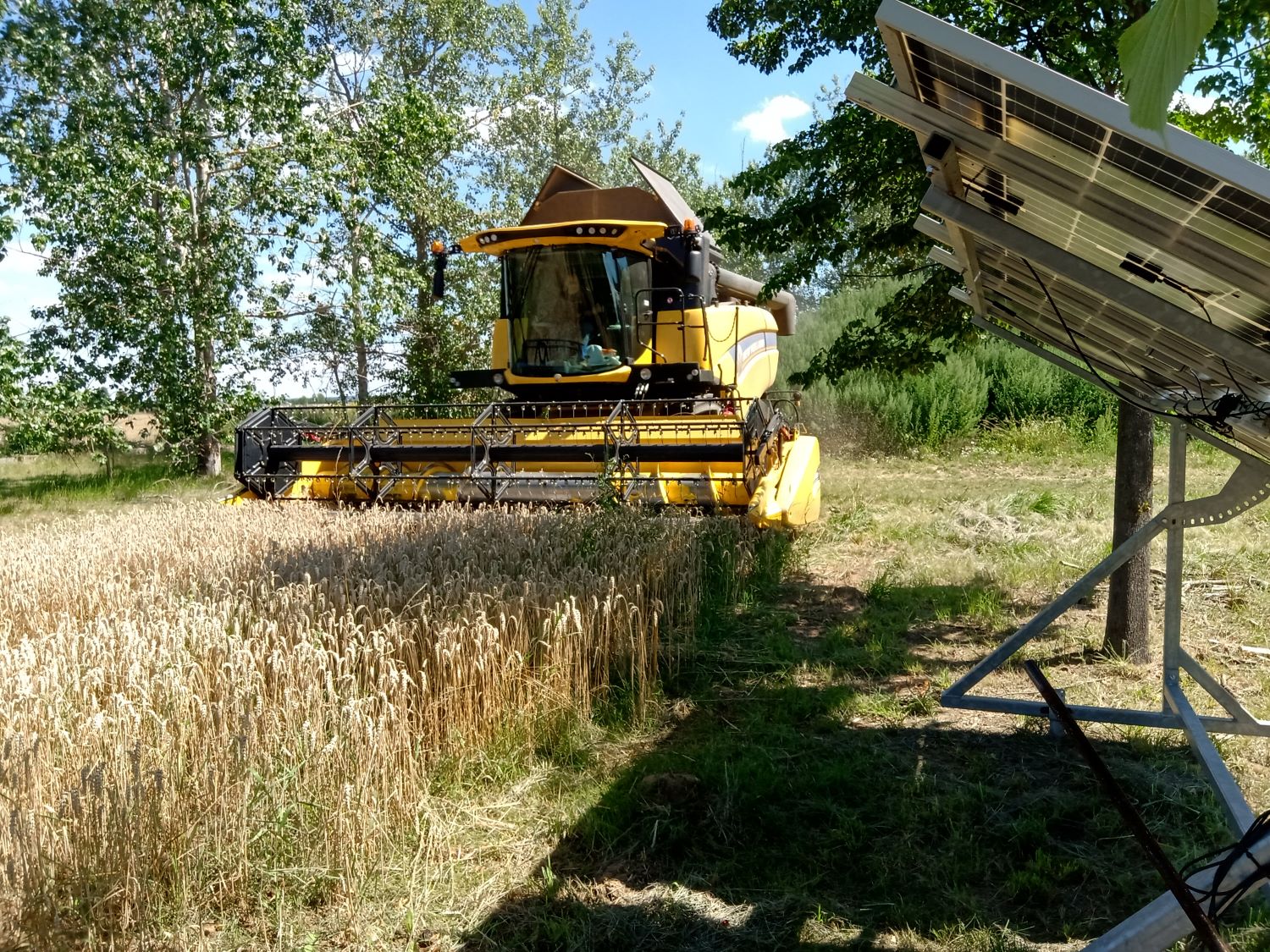 Agrolesnické systémy a agrovoltaika