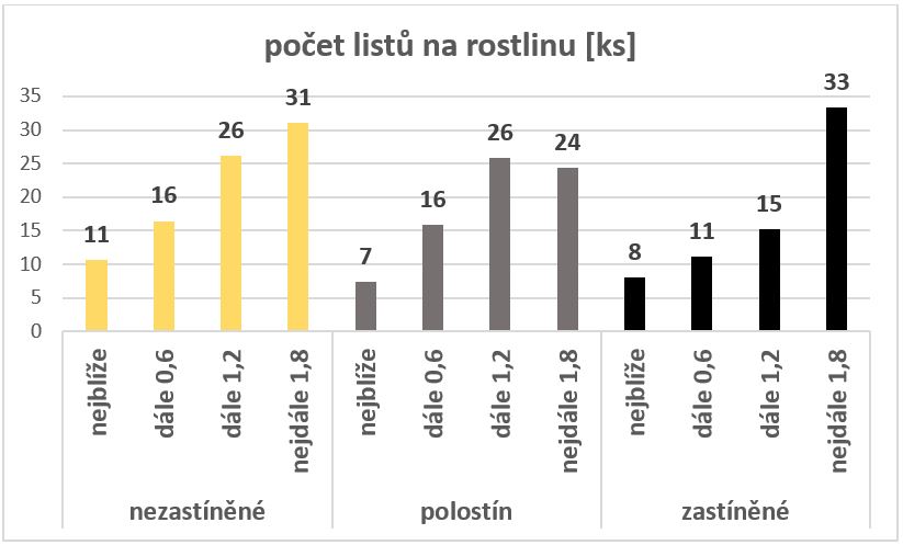 Pokusné pěstování křene selského (Armoracia rusticana) v podmínkách vzrostlého agrolesnického systému