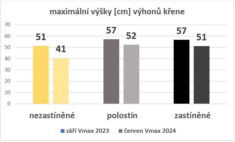 Pokusné pěstování křene selského (Armoracia rusticana) v podmínkách vzrostlého agrolesnického systému