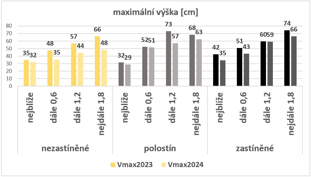 Pokusné pěstování křene selského (Armoracia rusticana) v podmínkách vzrostlého agrolesnického systému