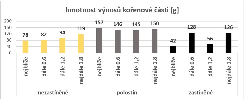 Pokusné pěstování křene selského (Armoracia rusticana) v podmínkách vzrostlého agrolesnického systému