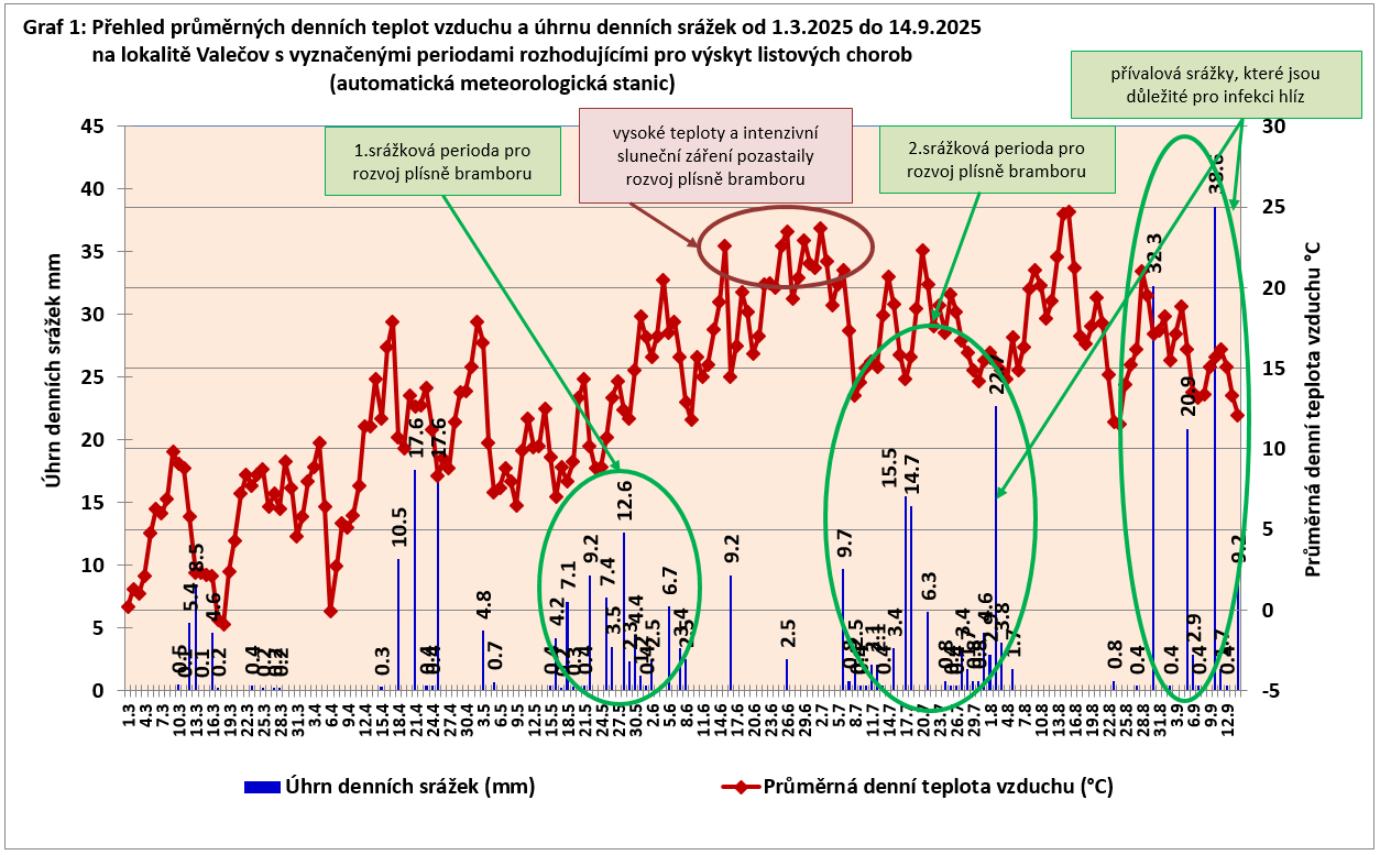 Použití herbicidů u brambor – výsledky pokusů ve VÚB v roce 2025